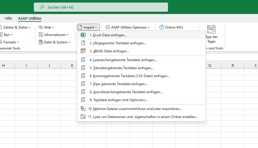 Import  ›  1 Excel-Datei einfügen...