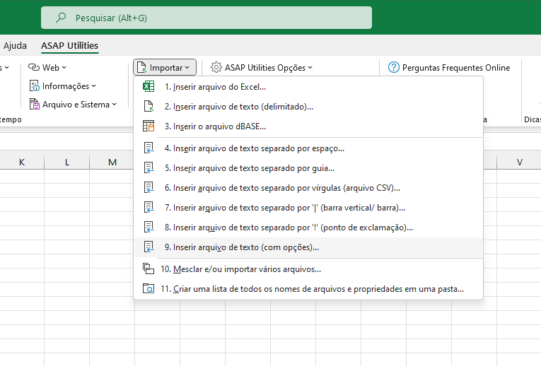 Importar  ›  9 Inserir arquivo de texto (com opções)...